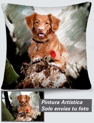 Cojín Personalizado a 360º, 45X45 cm. en Terciopelo. PC501-4545A018-002