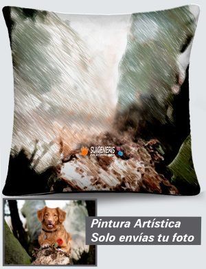 Cojín Personalizado a 360º, 45X45 cm. en Terciopelo. PC501-4545A018-002