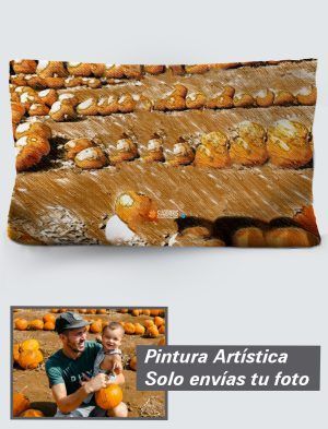 Funda de Cojín Personalizada a 360º, 50X30 cm. en Terciopelo. PC502-5030A020-002